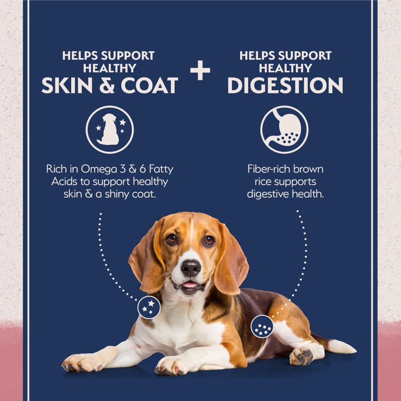 Natural Balance Limited Ingredient Adult Dry Dog Food with Healthy Grains, Salmon & Brown Rice Recipe, 4 Pound (Pack of 1) - Image 2